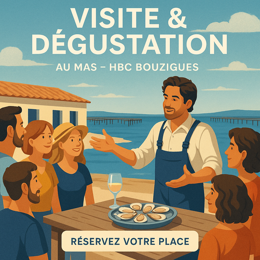 Visite & Dégustation 1 personne