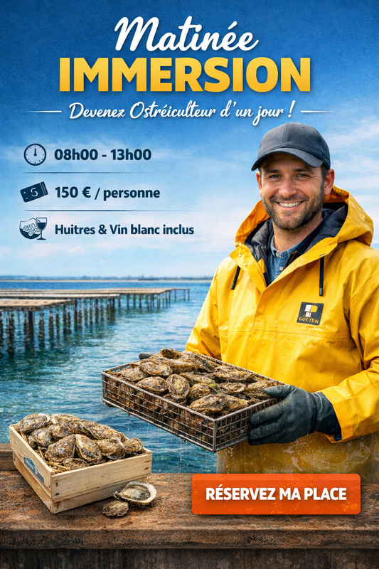 Bon pour matinée immersion